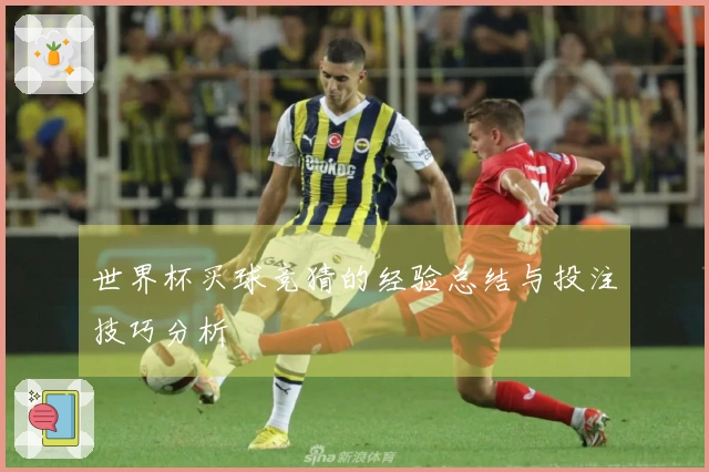世界杯买球竞猜的经验总结与投注技巧分析