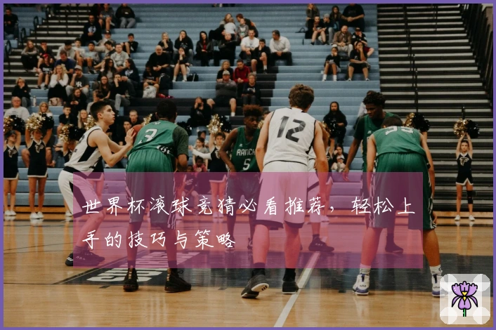 世界杯滚球竞猜必看推荐，轻松上手的技巧与策略