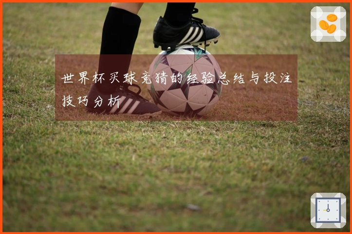 世界杯买球竞猜的经验总结与投注技巧分析