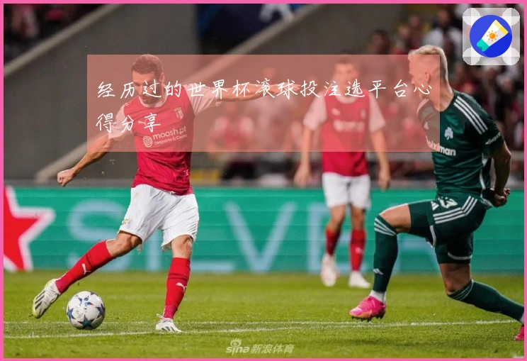 经历过的世界杯滚球投注选平台心得分享