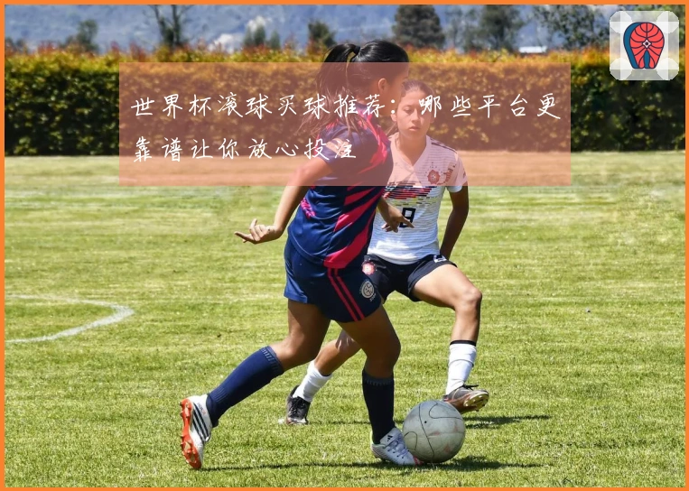 世界杯滚球买球推荐：哪些平台更靠谱让你放心投注