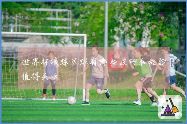 世界杯滚球买球有哪些技巧和经验值得关注