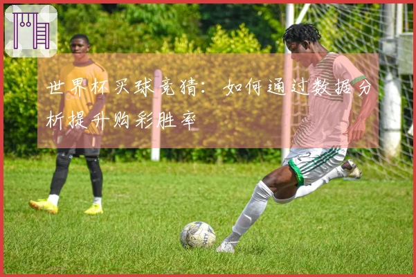 世界杯买球竞猜：如何通过数据分析提升购彩胜率