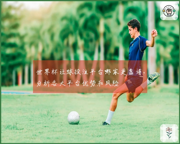世界杯让球投注平台哪家更靠谱，分析各大平台优势和风险