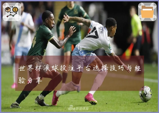 世界杯滚球投注平台选择技巧与经验分享