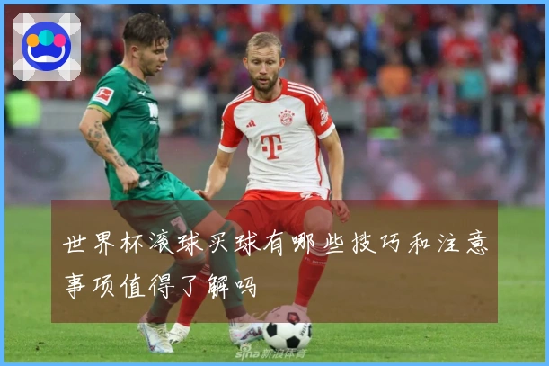 世界杯滚球买球有哪些技巧和注意事项值得了解吗