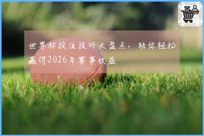 世界杯投注技巧大盘点，助你轻松赢得2026年赛事收益